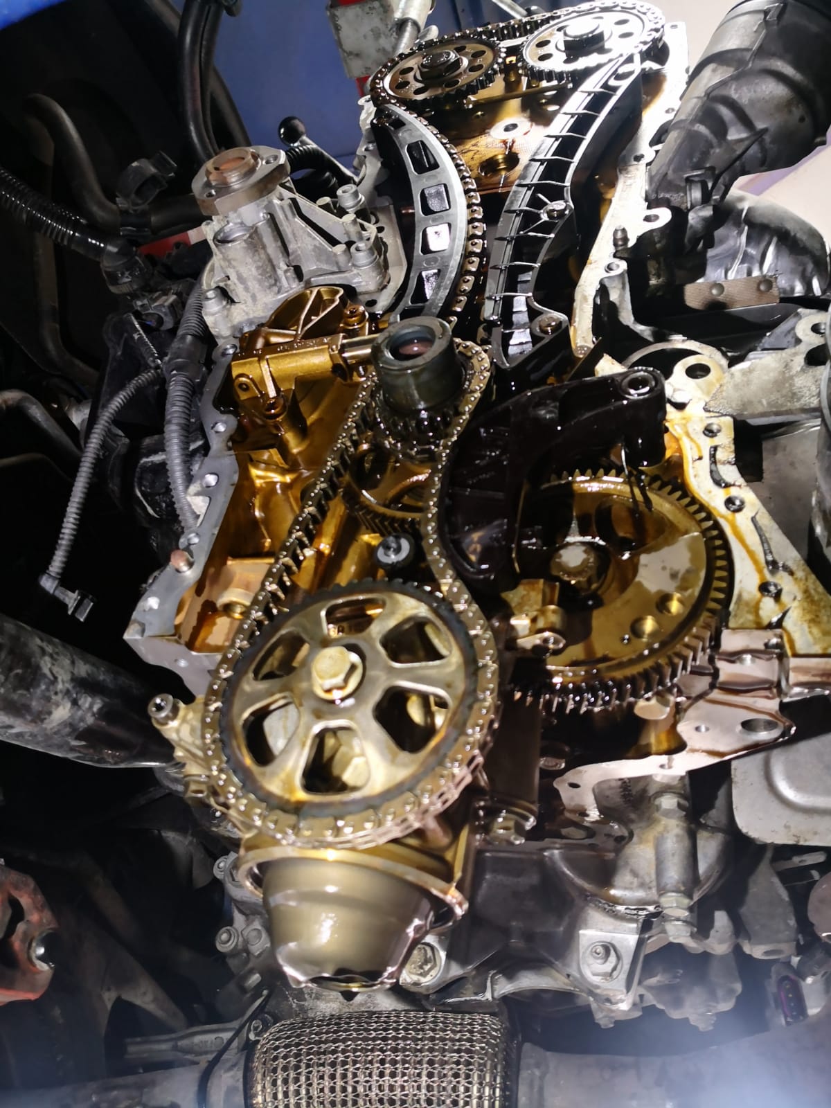 Mechanik & Wartung, Motor mit Steuerketten-Zahnrädern bei TUNA Fahrzeugtechnik